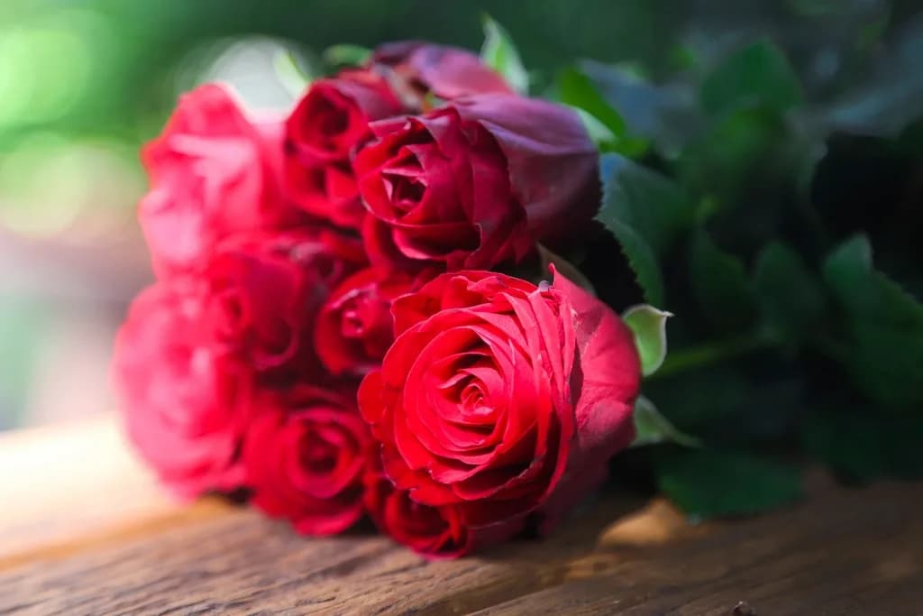 Rudé růže Brno — kytice Red Naomi Rudé velvet růže